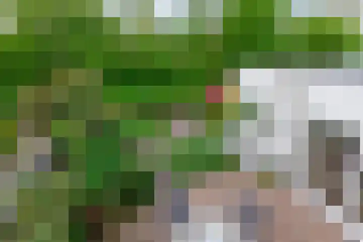 Kastanjelaan 43 Waddinxveen thumbnail 30