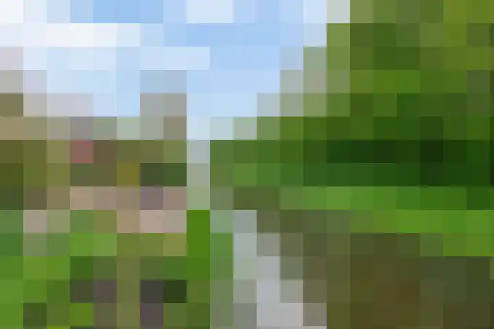 Kastanjelaan 43 Waddinxveen thumbnail 31