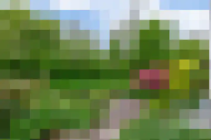 Kastanjelaan 43 Waddinxveen thumbnail 32