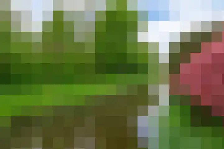 Kastanjelaan 43 Waddinxveen thumbnail 33