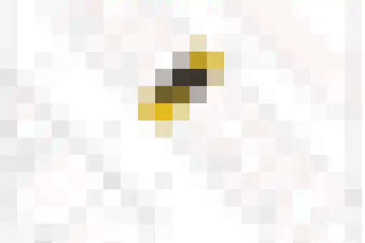 Kastanjelaan 43 Waddinxveen thumbnail 37