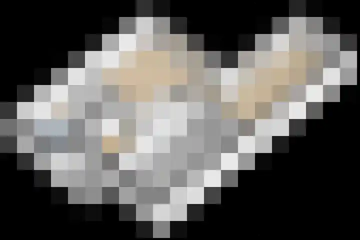 Kastanjelaan 43 Waddinxveen thumbnail 41