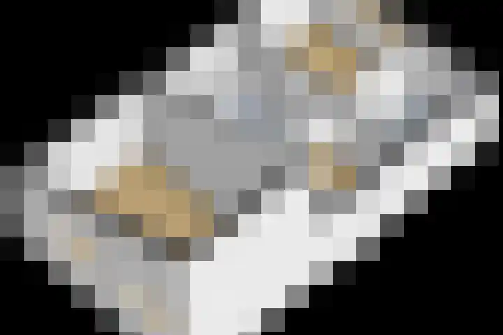 Kastanjelaan 43 Waddinxveen thumbnail 42