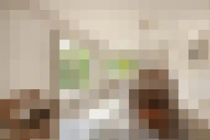 Kastanjelaan 43 Waddinxveen thumbnail 8