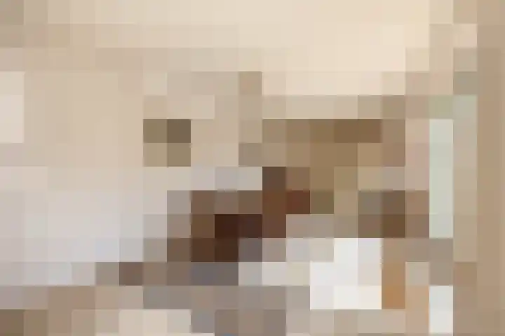 Kastanjelaan 43 Waddinxveen thumbnail 9