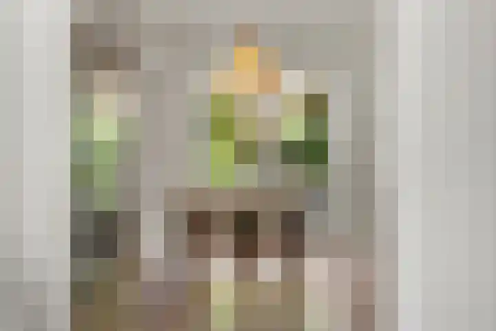 Kastanjelaan 44 Nijmegen thumbnail 17