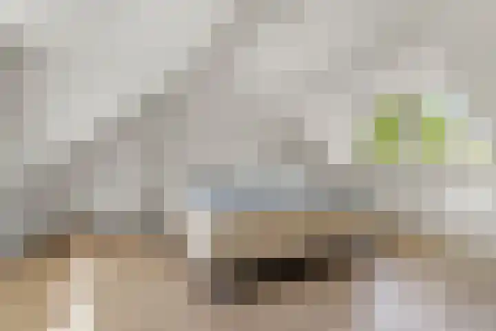 Kastanjelaan 44 Nijmegen thumbnail 5