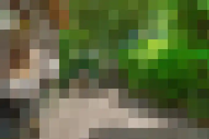 Kastanjelaan 44 Nijmegen thumbnail 50