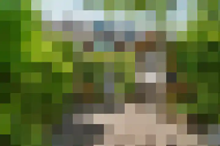 Kastanjelaan 44 Nijmegen thumbnail 52