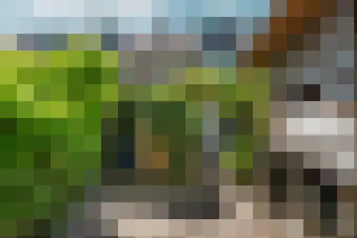 Kastanjelaan 44 Nijmegen thumbnail 53