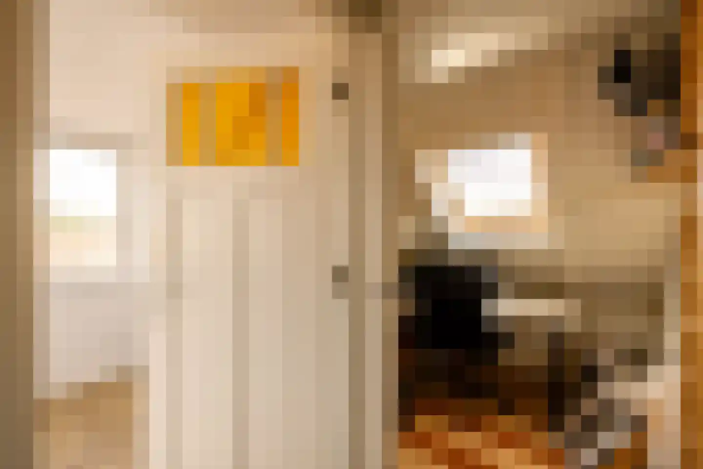 Kastanjelaan 48 Zwanenburg thumbnail 35