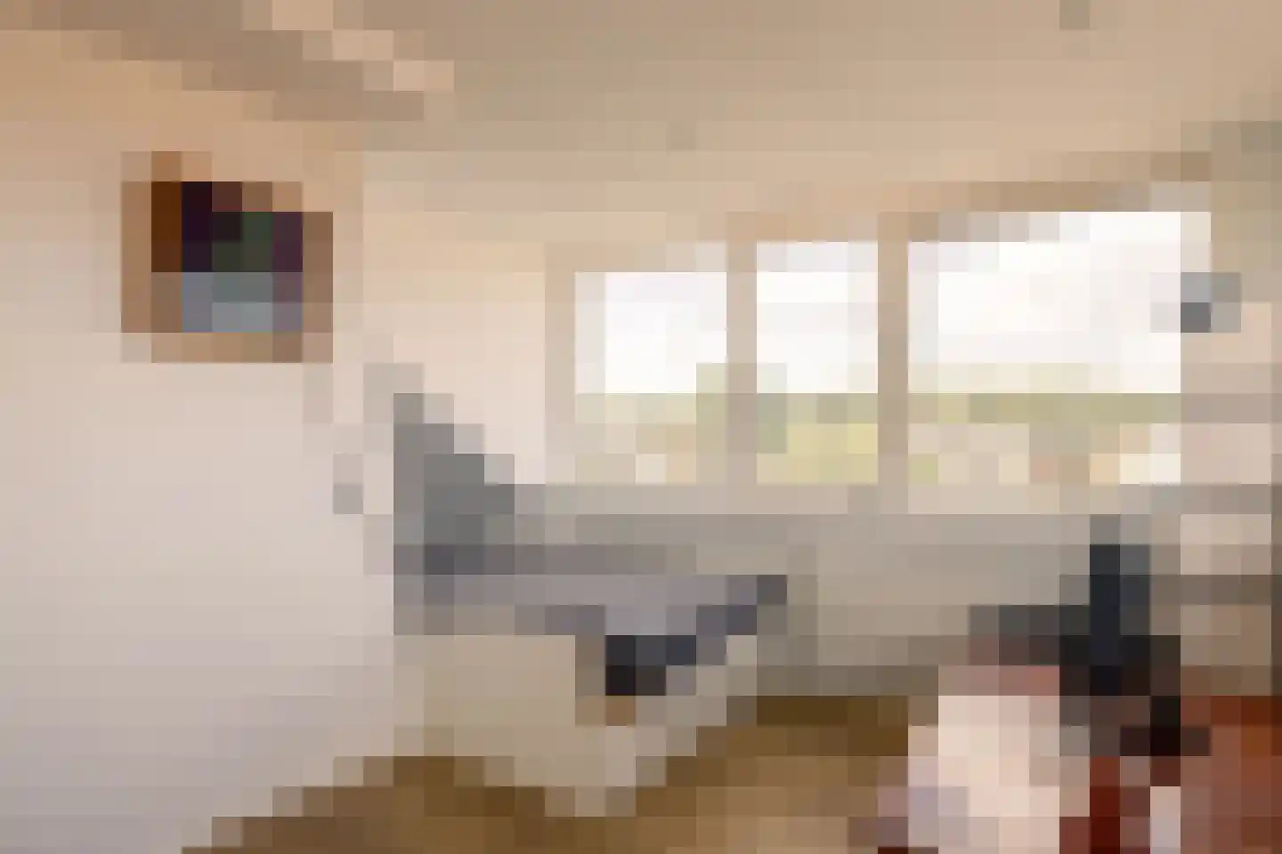 Kastanjelaan 48 Zwanenburg thumbnail 37