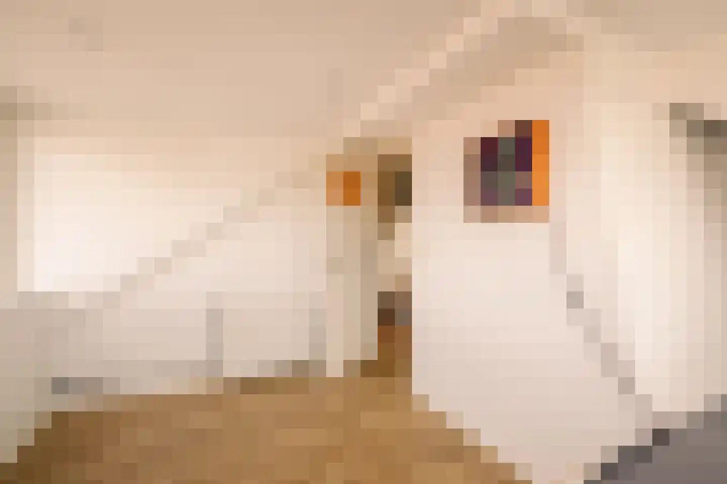 Kastanjelaan 48 Zwanenburg thumbnail 38