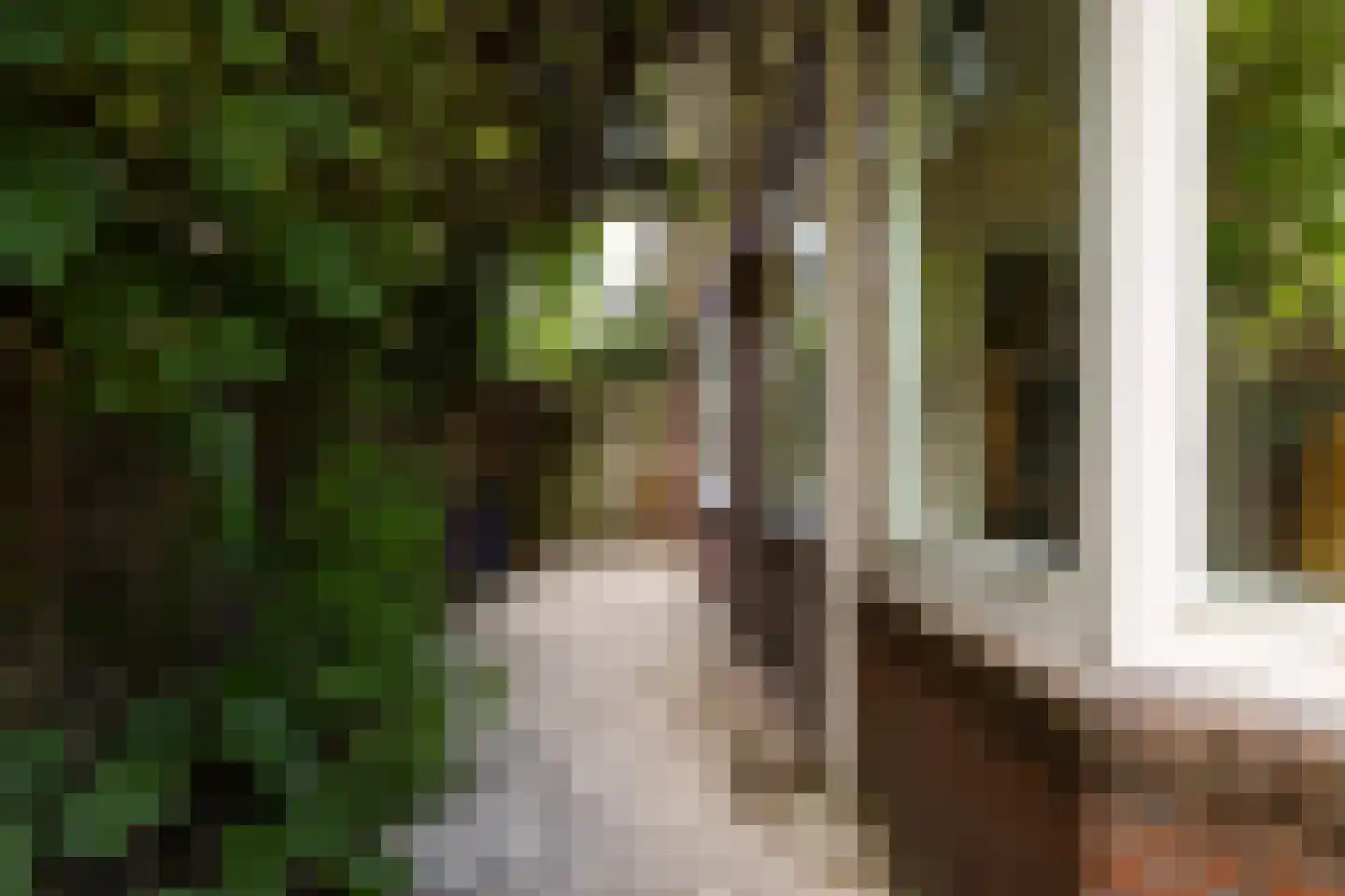Kastanjelaan 48 Zwanenburg thumbnail 39