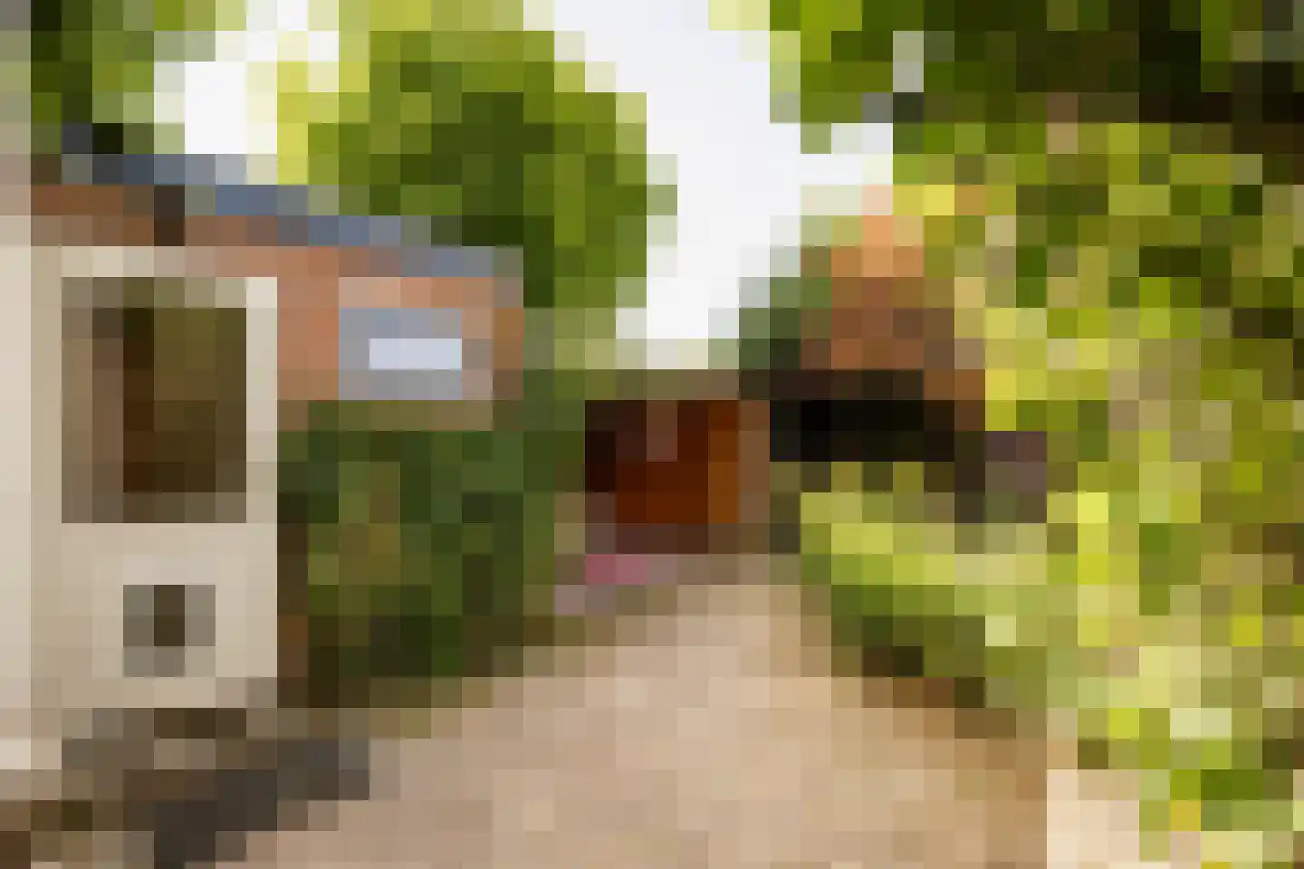 Kastanjelaan 48 Zwanenburg thumbnail 40