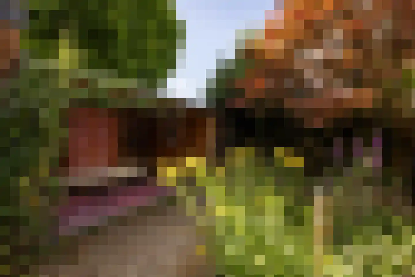 Kastanjelaan 48 Zwanenburg thumbnail 41