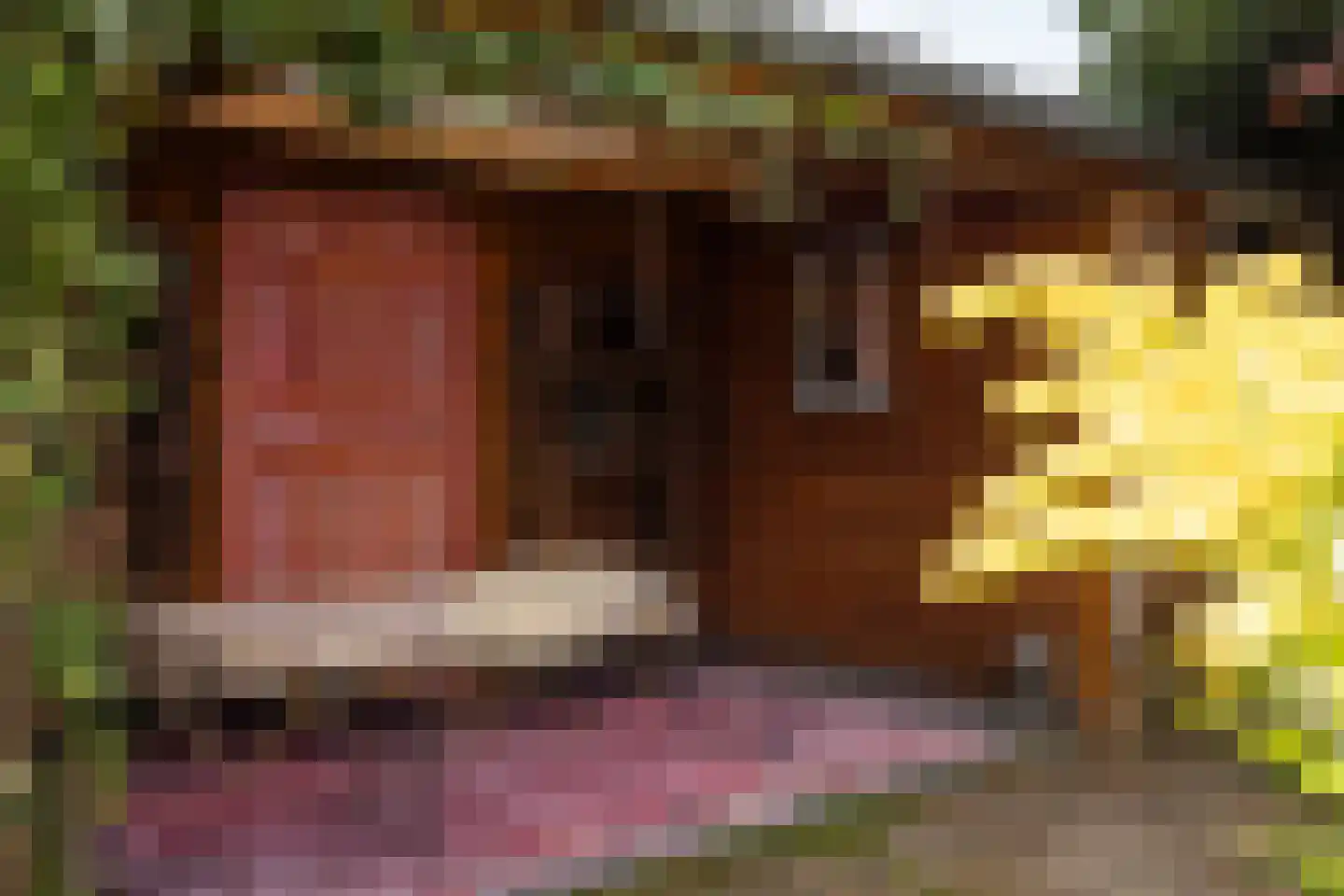 Kastanjelaan 48 Zwanenburg thumbnail 42