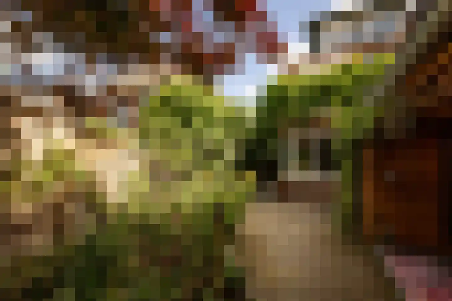 Kastanjelaan 48 Zwanenburg thumbnail 43
