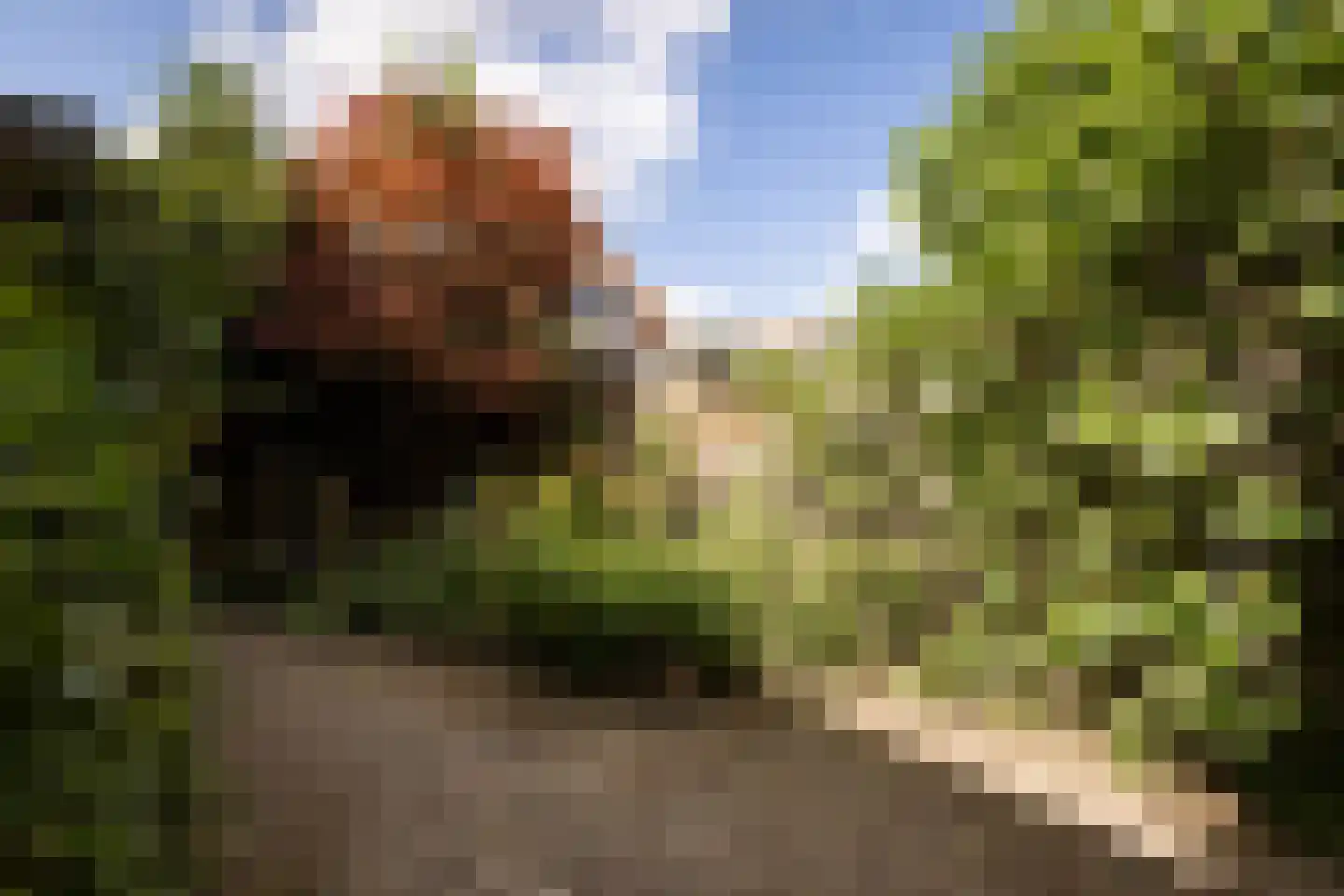Kastanjelaan 48 Zwanenburg thumbnail 44