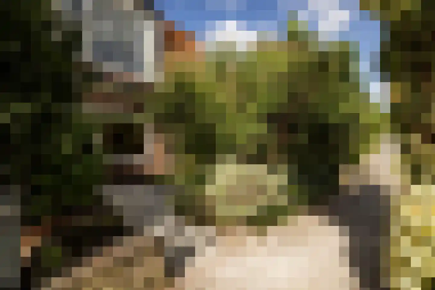 Kastanjelaan 48 Zwanenburg thumbnail 45