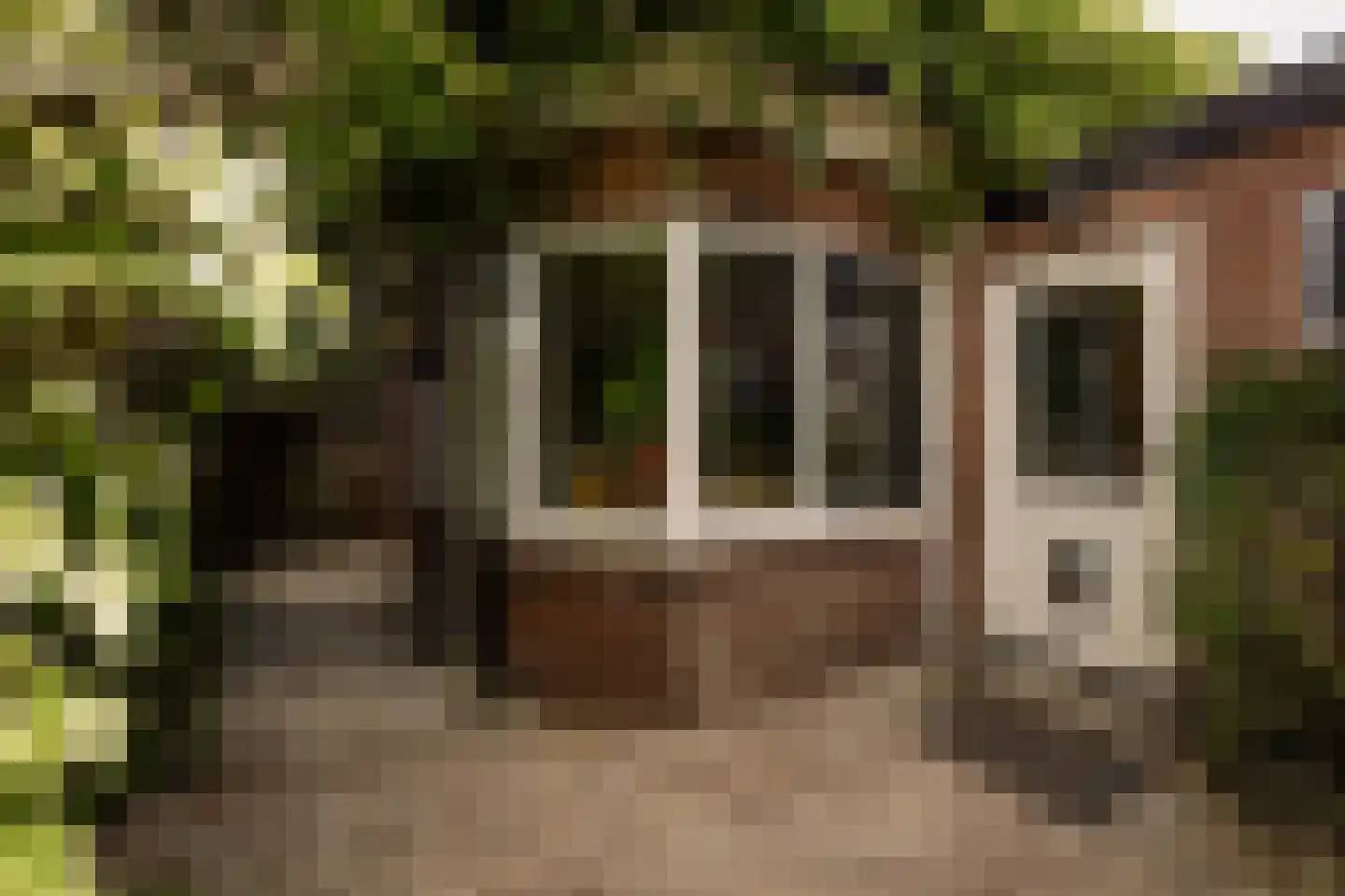 Kastanjelaan 48 Zwanenburg thumbnail 8