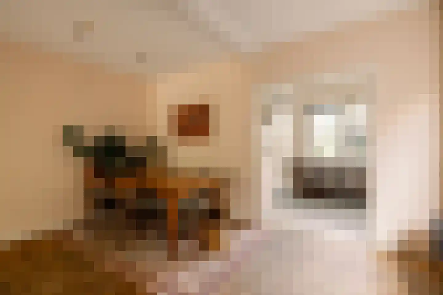 Kastanjelaan 48 Zwanenburg thumbnail 9
