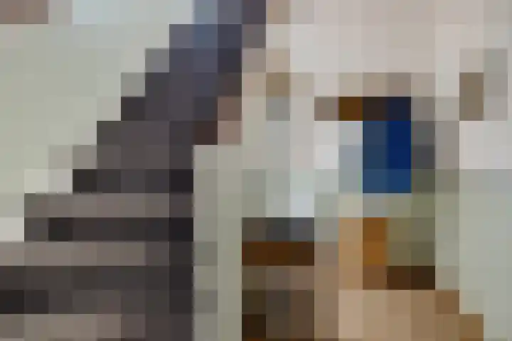 Kastanjelaan 49 Soest thumbnail 14