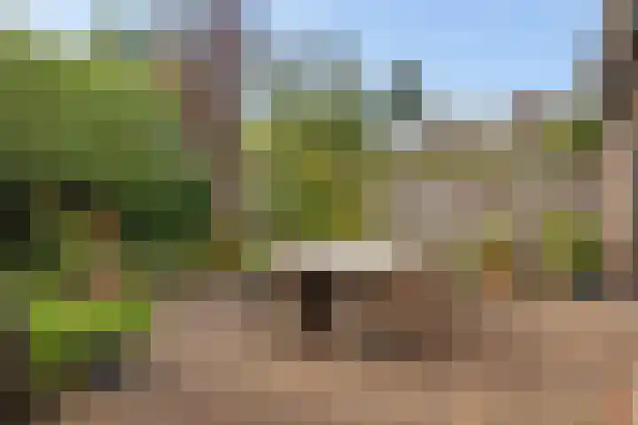 Kastanjelaan 49 Soest thumbnail 23