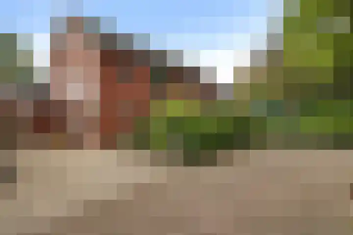 Kastanjelaan 49 Soest thumbnail 25