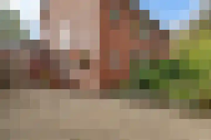 Kastanjelaan 49 Soest thumbnail 26