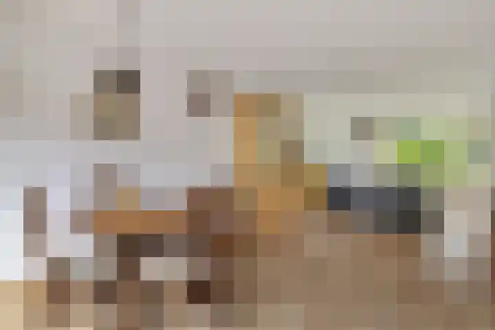 Kastanjelaan 49 Soest thumbnail 7