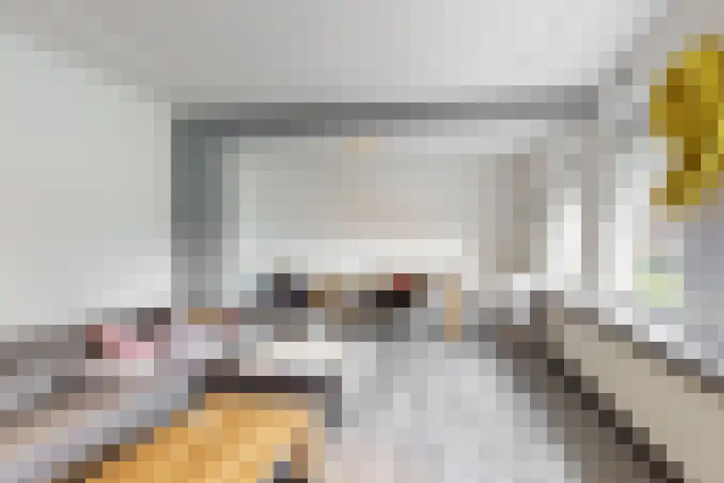 Kastanjelaan 5 Geleen thumbnail 10