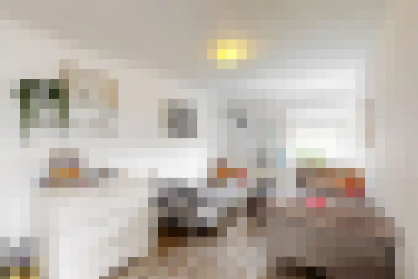 Kastanjelaan 5 Geleen thumbnail 21