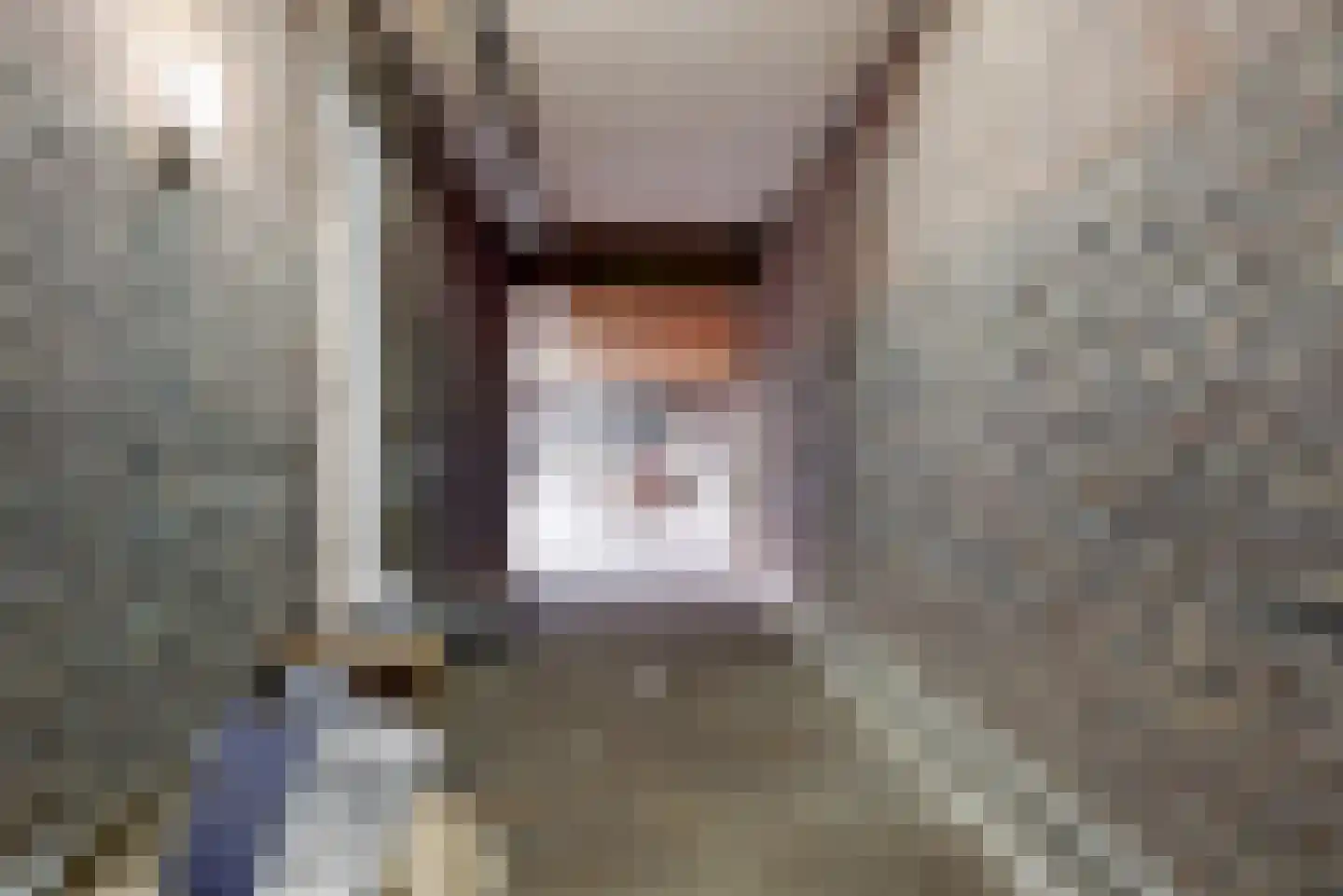 Kastanjelaan 5 Geleen thumbnail 29