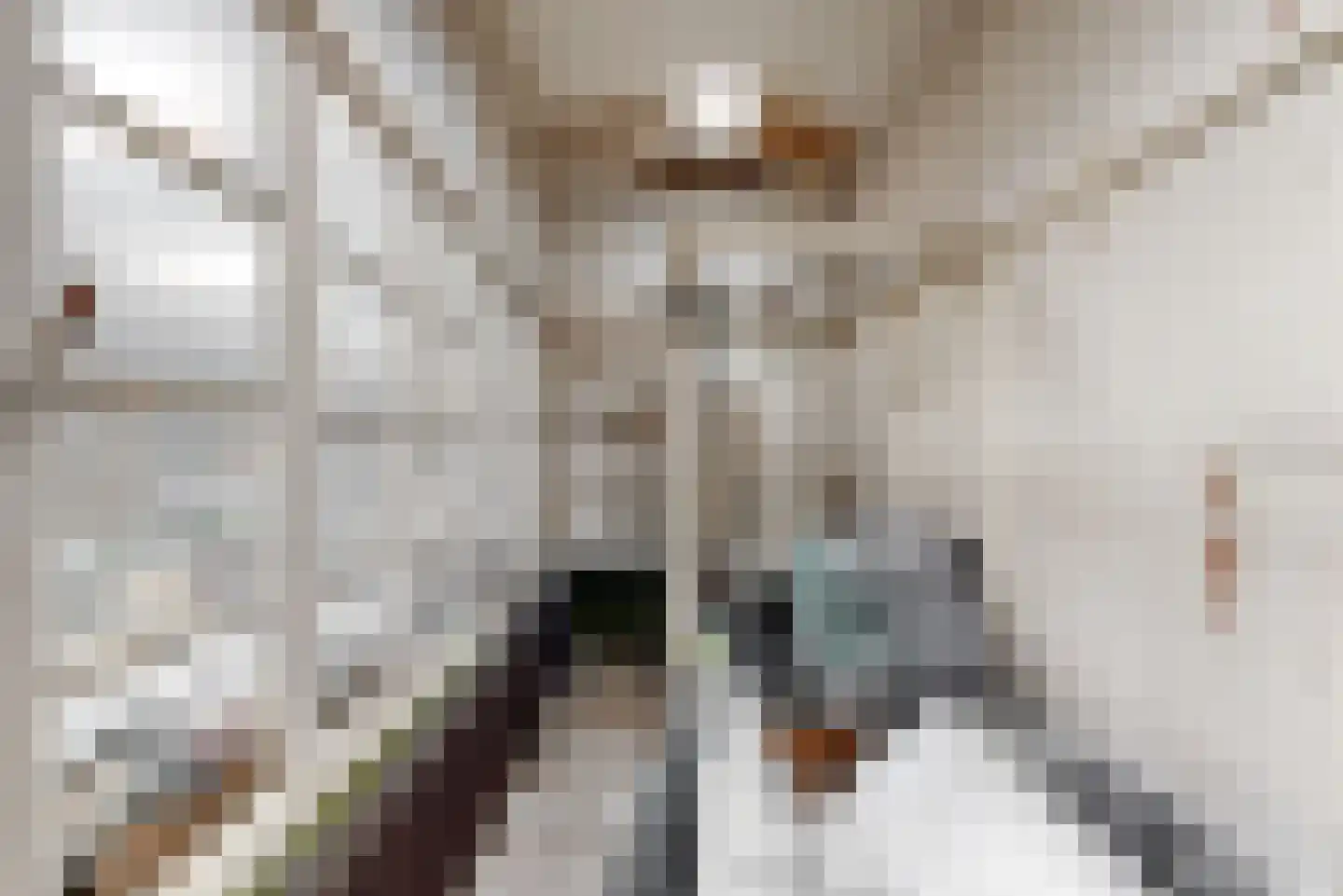 Kastanjelaan 5 Geleen thumbnail 35
