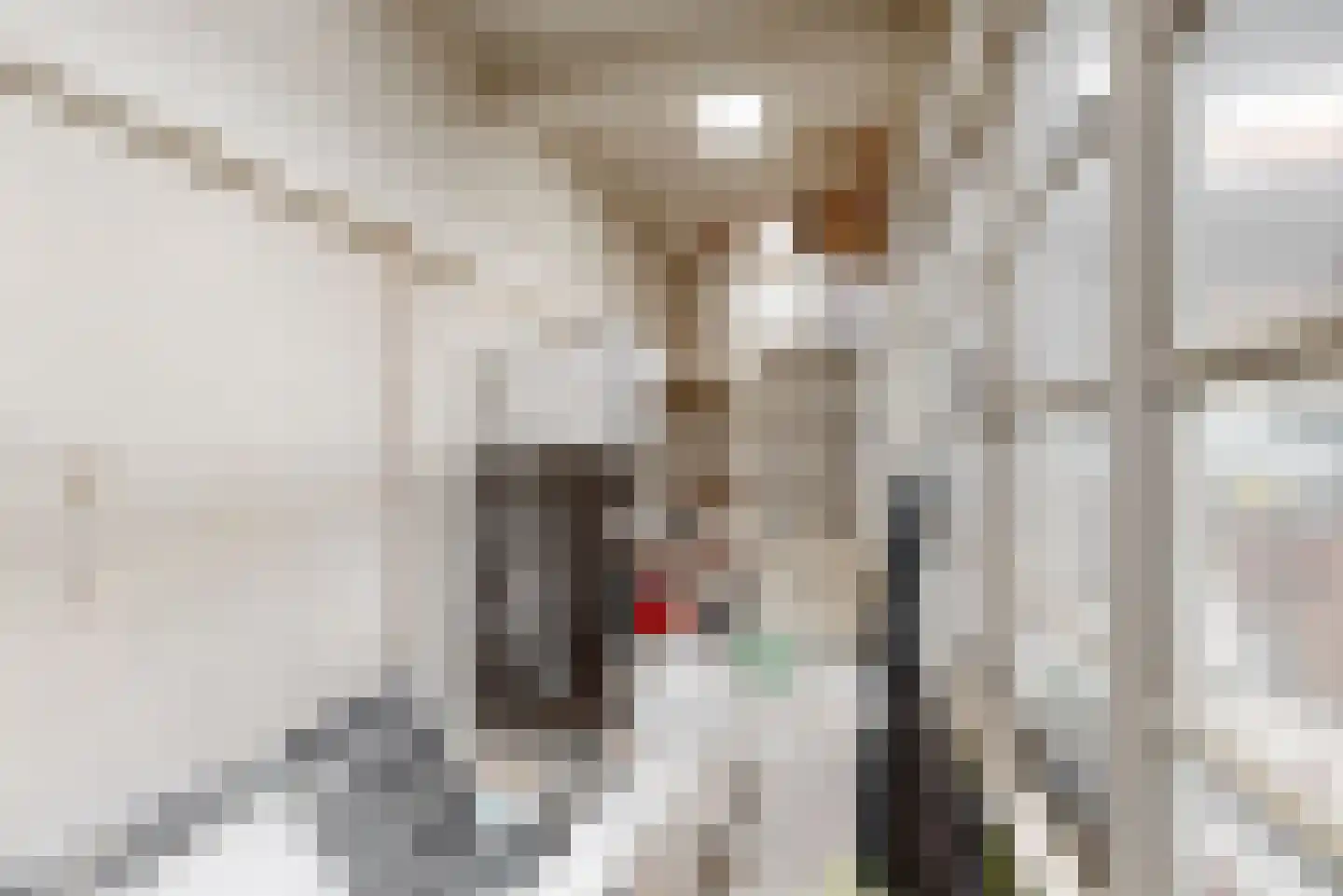 Kastanjelaan 5 Geleen thumbnail 36