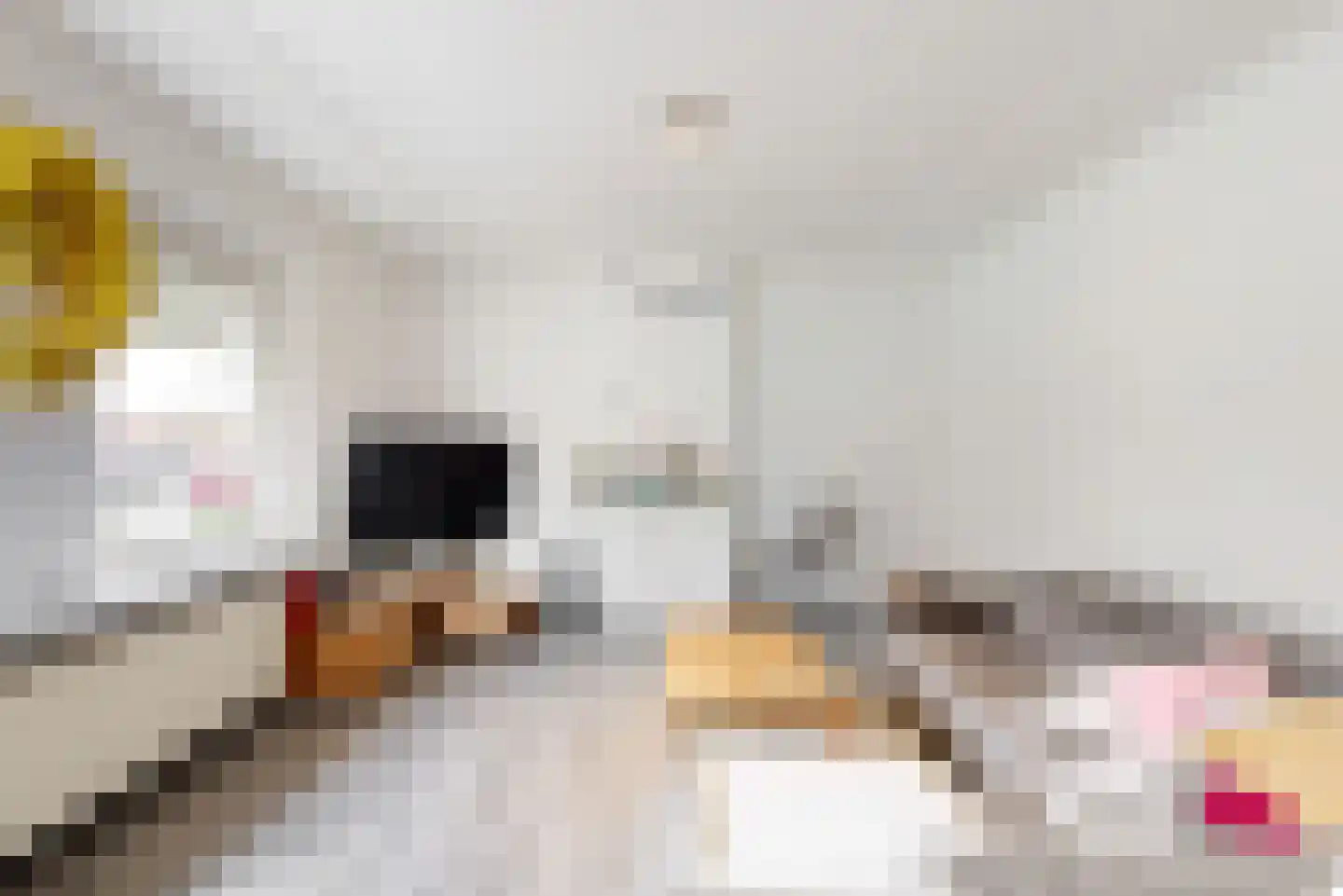 Kastanjelaan 5 Geleen thumbnail 9