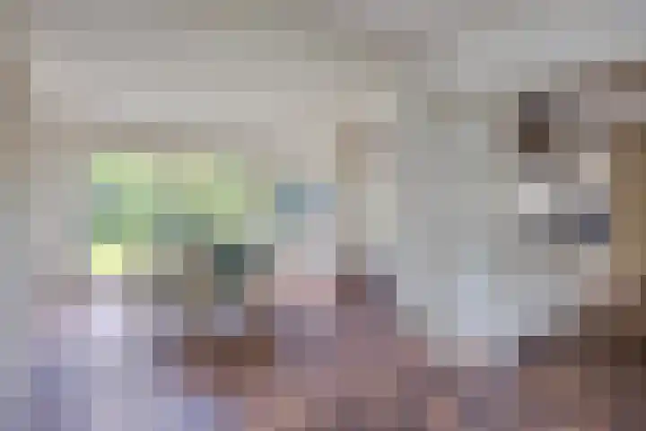 Kastanjelaan 5 Haaren thumbnail 15