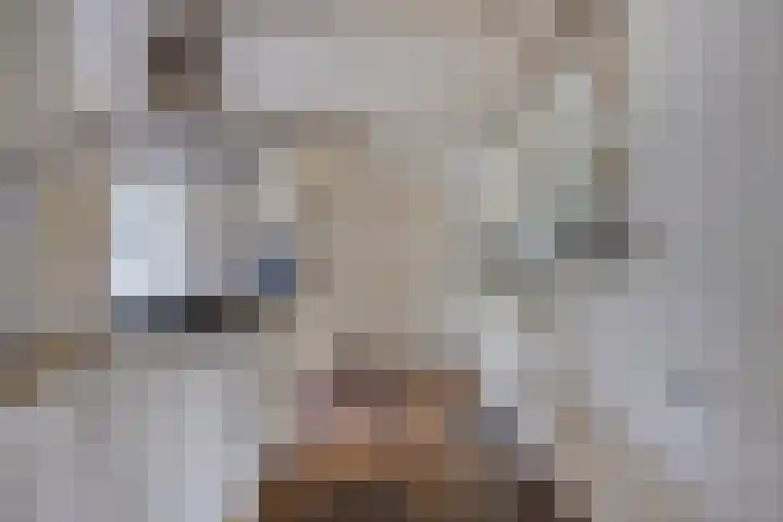 Kastanjelaan 5 Haaren thumbnail 16