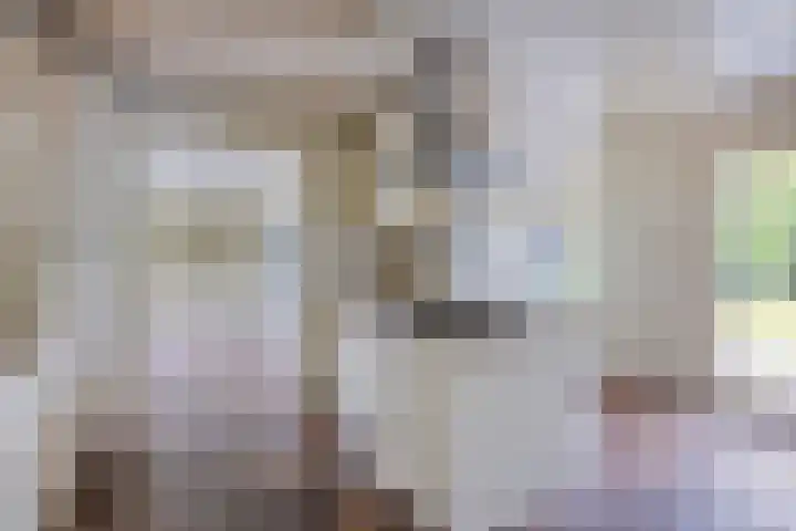 Kastanjelaan 5 Haaren thumbnail 17