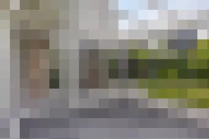 Kastanjelaan 5 Haaren thumbnail 23