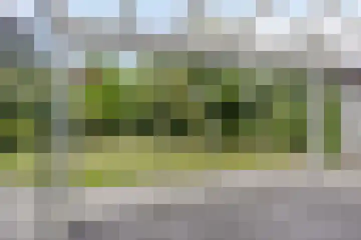 Kastanjelaan 5 Haaren thumbnail 24
