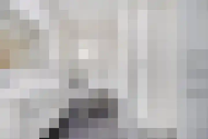 Kastanjelaan 5 Haaren thumbnail 31