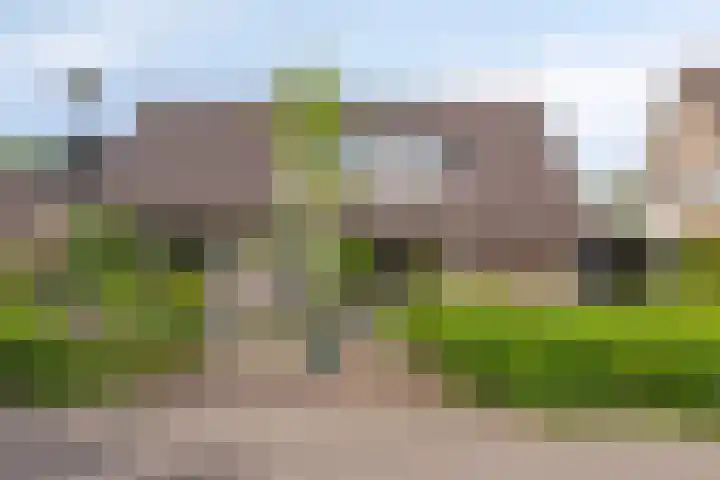Kastanjelaan 5 Haaren thumbnail 4