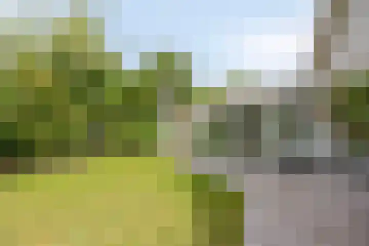 Kastanjelaan 5 Haaren thumbnail 45