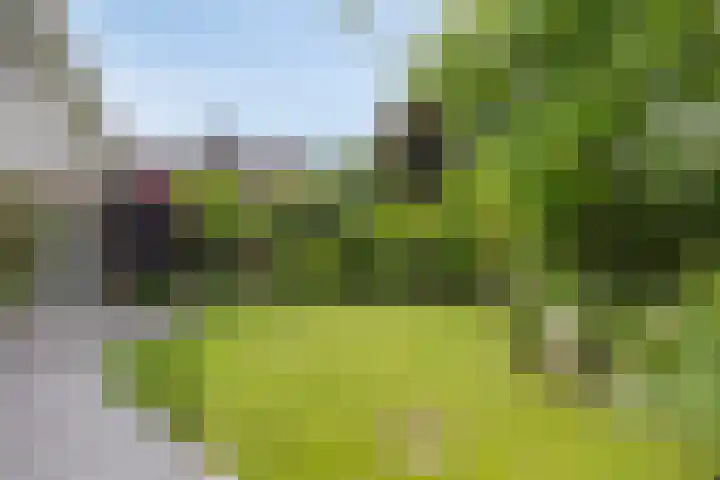Kastanjelaan 5 Haaren thumbnail 46