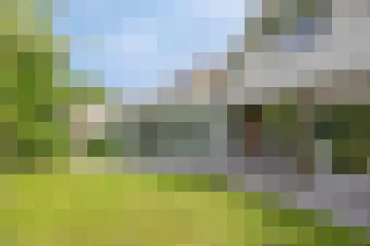 Kastanjelaan 5 Haaren thumbnail 47