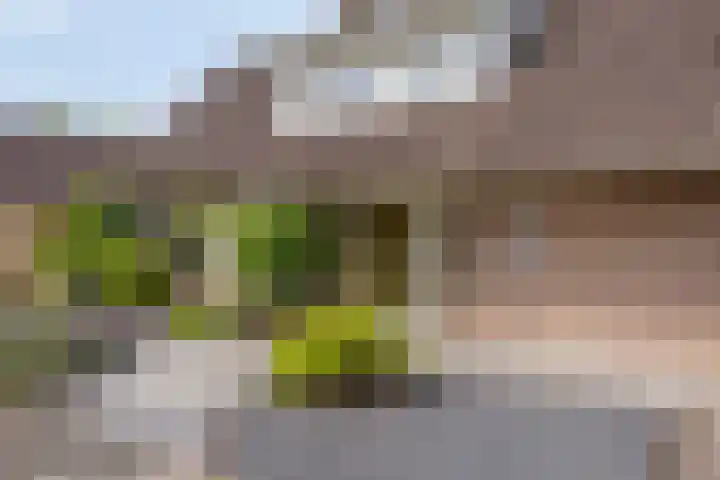 Kastanjelaan 5 Haaren thumbnail 5