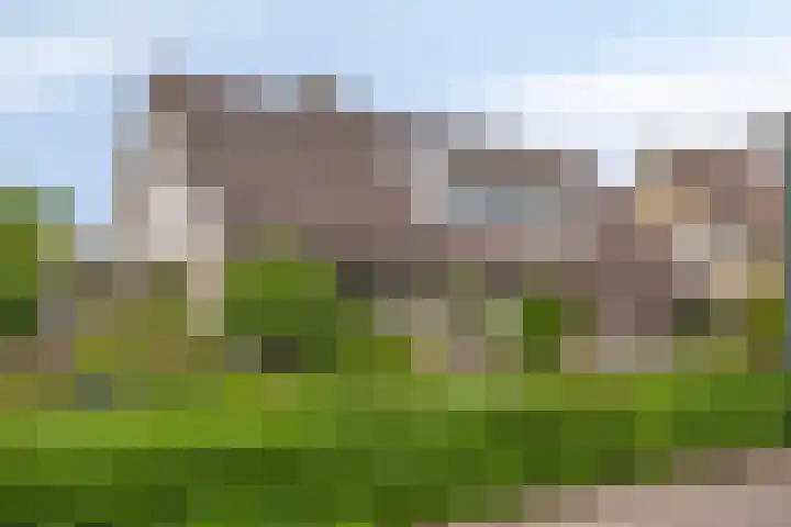 Kastanjelaan 5 Haaren thumbnail 6