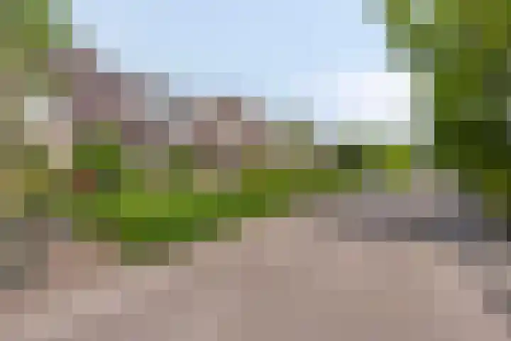 Kastanjelaan 5 Haaren thumbnail 7